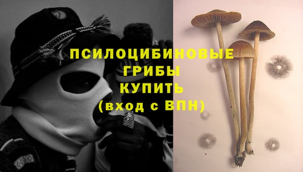 винт Туринск