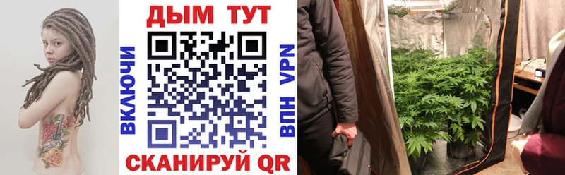 Шишки марихуана сатива сколько стоит Краснодар